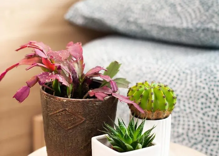 Panta Rei Pensión 3*